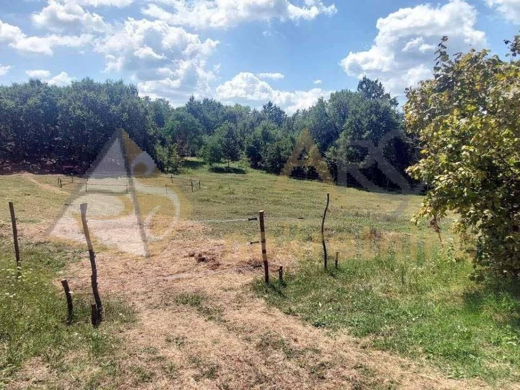 Građevinsko zemljište, Prodaja, Pićan, Pićan