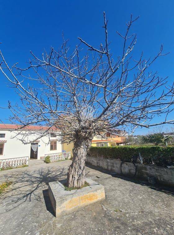 Obiteljska kuca, Prodaja, Vir, Vir