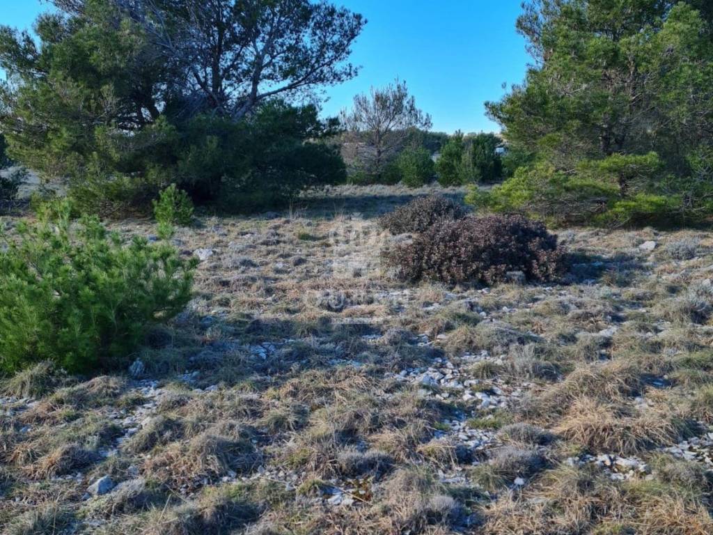 Poljoprivredno zemljište, Prodaja, Vir, Vir