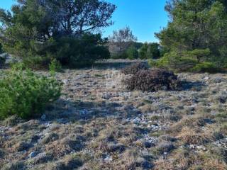 Poljoprivredno zemljište, Prodaja, Vir, Vir