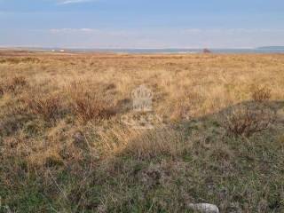 Poljoprivredno zemljište, Prodaja, Vir, Vir