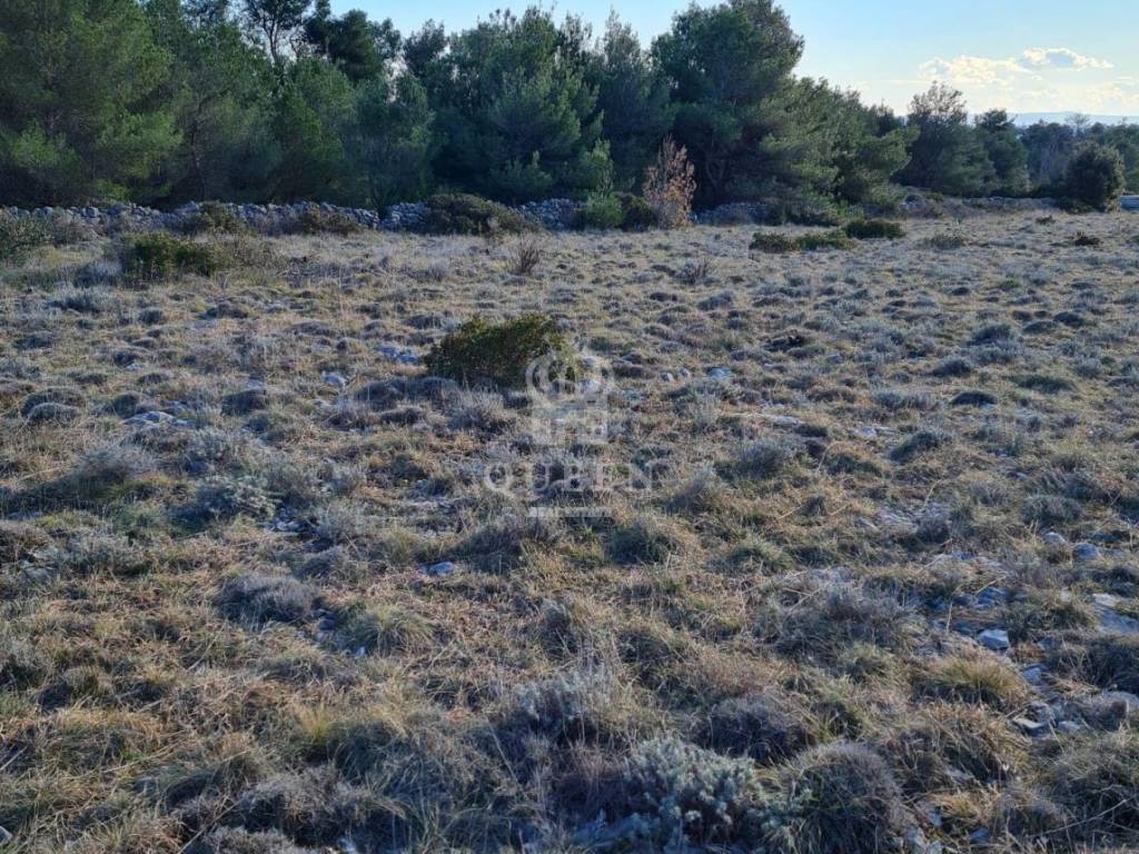 Poljoprivredno zemljište, Prodaja, Vir, Vir