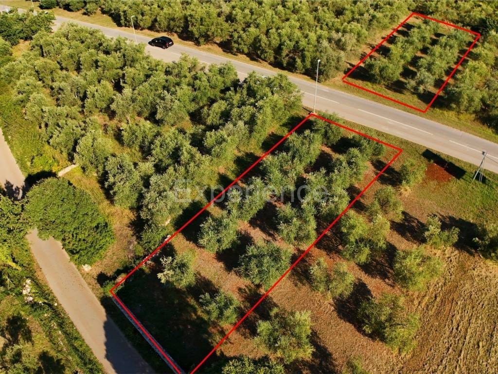 Poljoprivredno zemljište, Prodaja, Tar-Vabriga, Vabriga