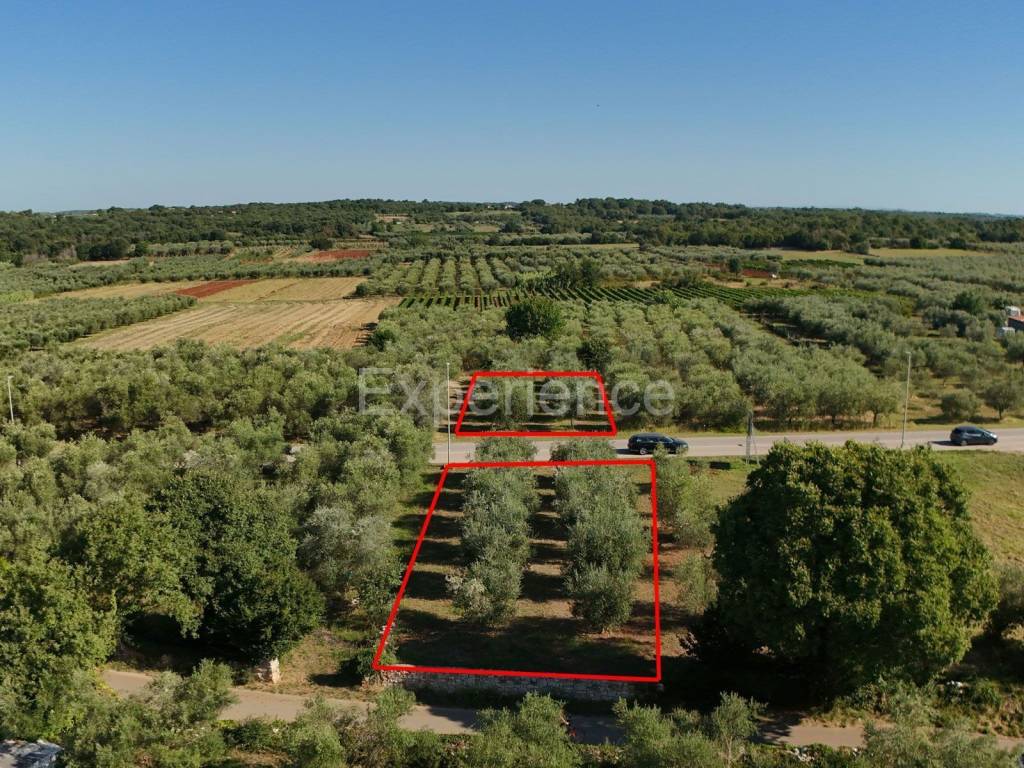 Poljoprivredno zemljište, Prodaja, Tar-Vabriga, Vabriga