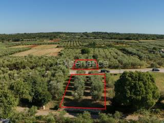 Poljoprivredno zemljište, Prodaja, Tar-Vabriga, Vabriga