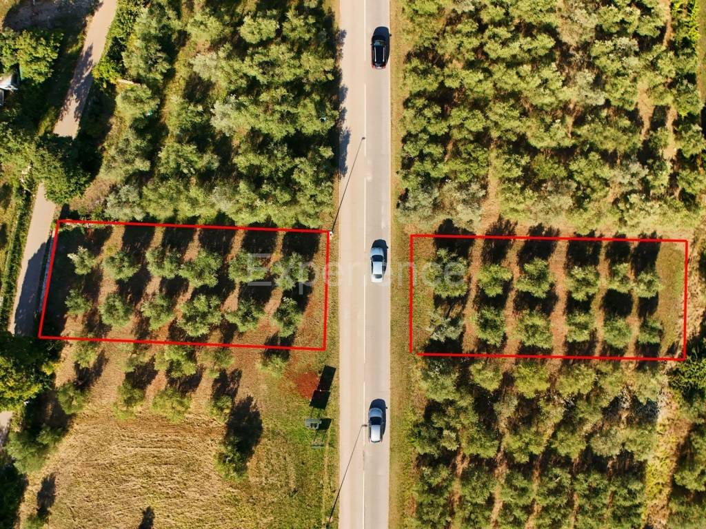 Poljoprivredno zemljište, Prodaja, Tar-Vabriga, Vabriga