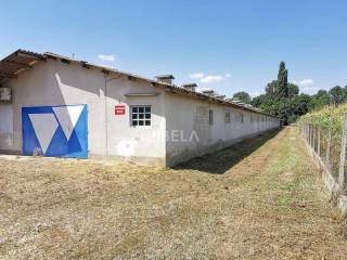 Hala, Prodaja, Donji Kraljevec, Donji Pustakovec