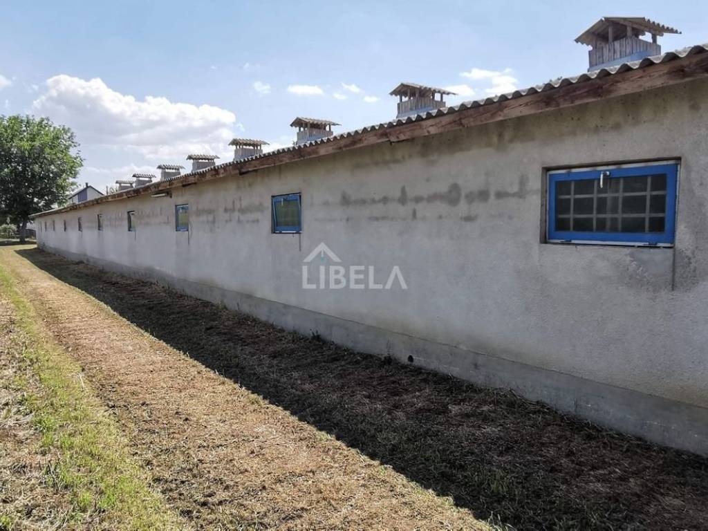 Hala, Prodaja, Donji Kraljevec, Donji Pustakovec