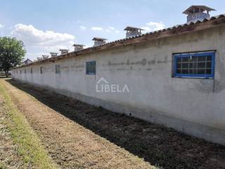 Hala, Prodaja, Donji Kraljevec, Donji Pustakovec