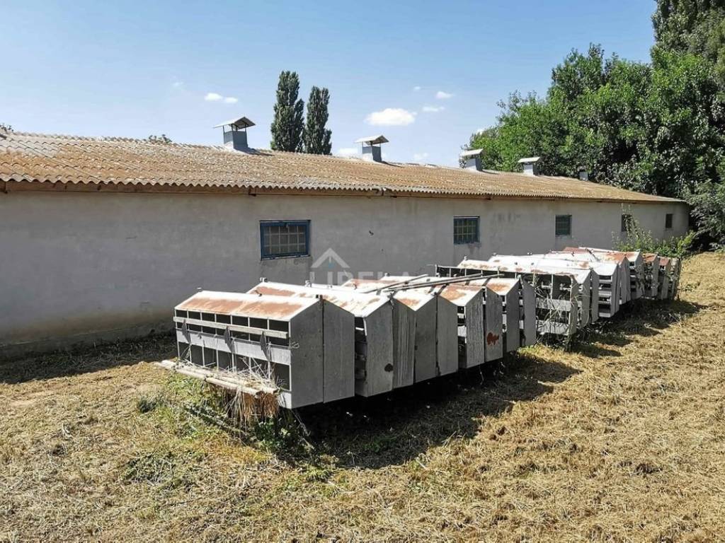 Hala, Prodaja, Donji Kraljevec, Donji Pustakovec