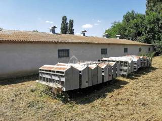 Hala, Prodaja, Donji Kraljevec, Donji Pustakovec