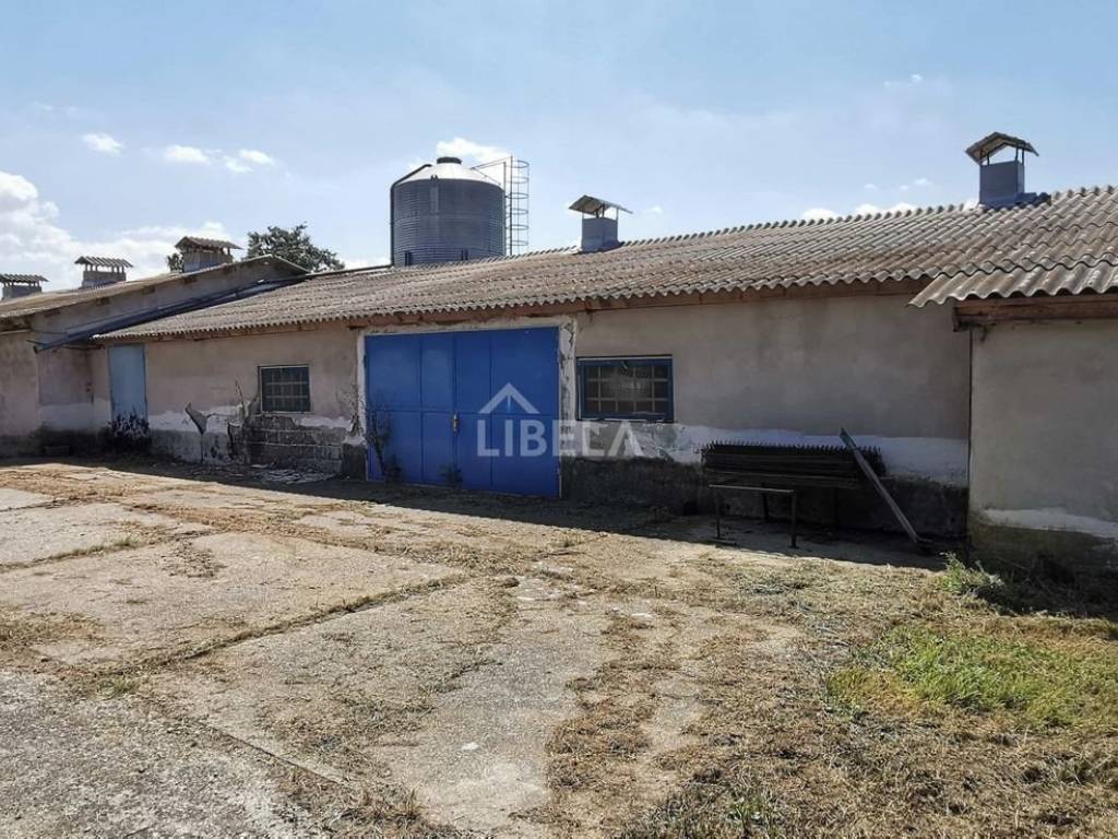 Hala, Prodaja, Donji Kraljevec, Donji Pustakovec