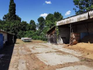 Hala, Prodaja, Donji Kraljevec, Donji Pustakovec