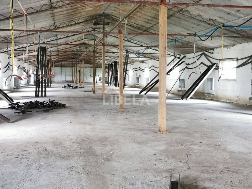 Hala, Prodaja, Donji Kraljevec, Donji Pustakovec