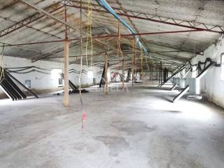 Hala, Prodaja, Donji Kraljevec, Donji Pustakovec