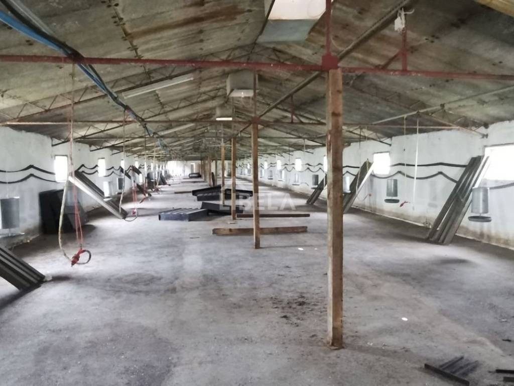 Hala, Prodaja, Donji Kraljevec, Donji Pustakovec