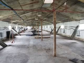 Hala, Prodaja, Donji Kraljevec, Donji Pustakovec