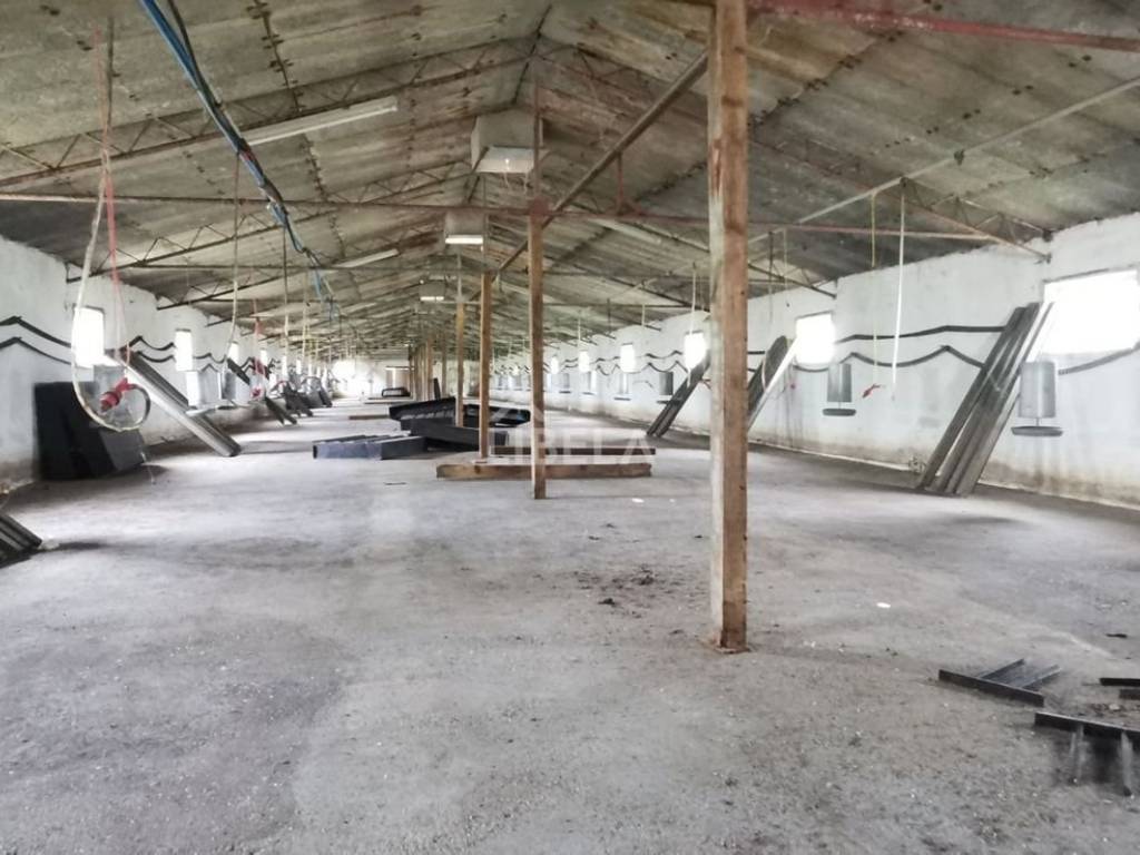 Hala, Prodaja, Donji Kraljevec, Donji Pustakovec