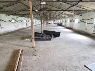 Hala, Prodaja, Donji Kraljevec, Donji Pustakovec