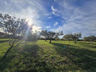 Zemljište - ostalo, Prodaja, Vrsi, Vrsi