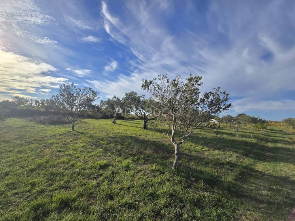 Zemljište - ostalo, Prodaja, Vrsi, Vrsi