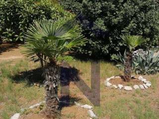 Samostojeća kuća, Prodaja, Novalja, Novalja