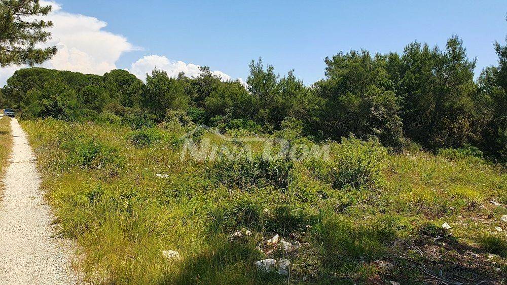 Zemljište - ostalo, Prodaja, Vir, Vir