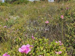 Poljoprivredno zemljište, Prodaja, Vir, Vir