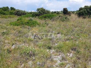 Poljoprivredno zemljište, Prodaja, Vir, Vir