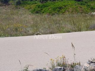 Poljoprivredno zemljište, Prodaja, Vir, Vir