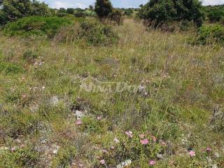 Poljoprivredno zemljište, Prodaja, Vir, Vir