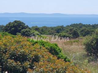 Poljoprivredno zemljište, Prodaja, Vir, Vir