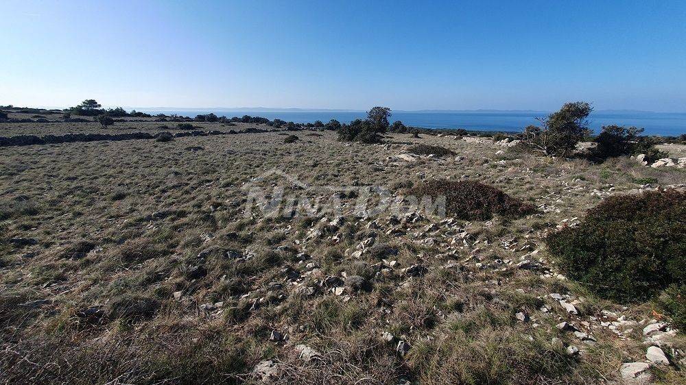 Poljoprivredno zemljište, Prodaja, Vir, Vir