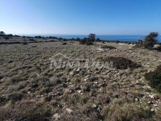 Poljoprivredno zemljište, Prodaja, Vir, Vir