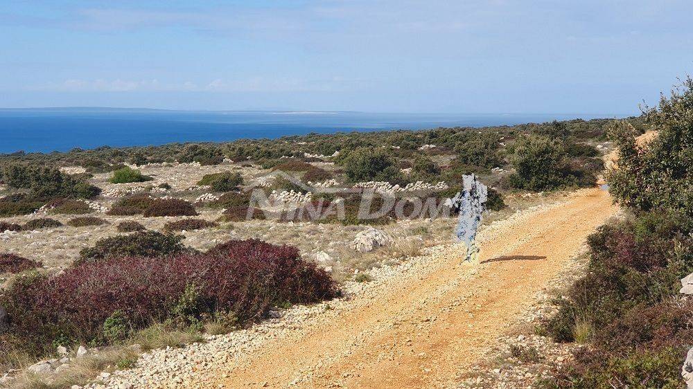 Poljoprivredno zemljište, Prodaja, Vir, Vir