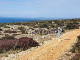 Poljoprivredno zemljište, Prodaja, Vir, Vir