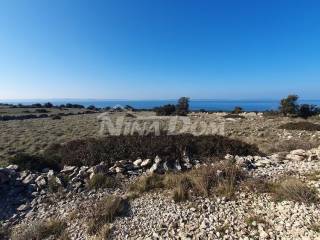 Poljoprivredno zemljište, Prodaja, Vir, Vir