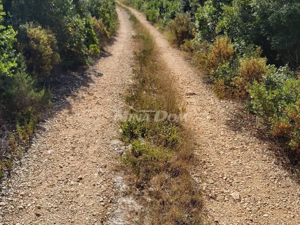 Građevinsko zemljište, Prodaja, Zadar - Okolica, Molat