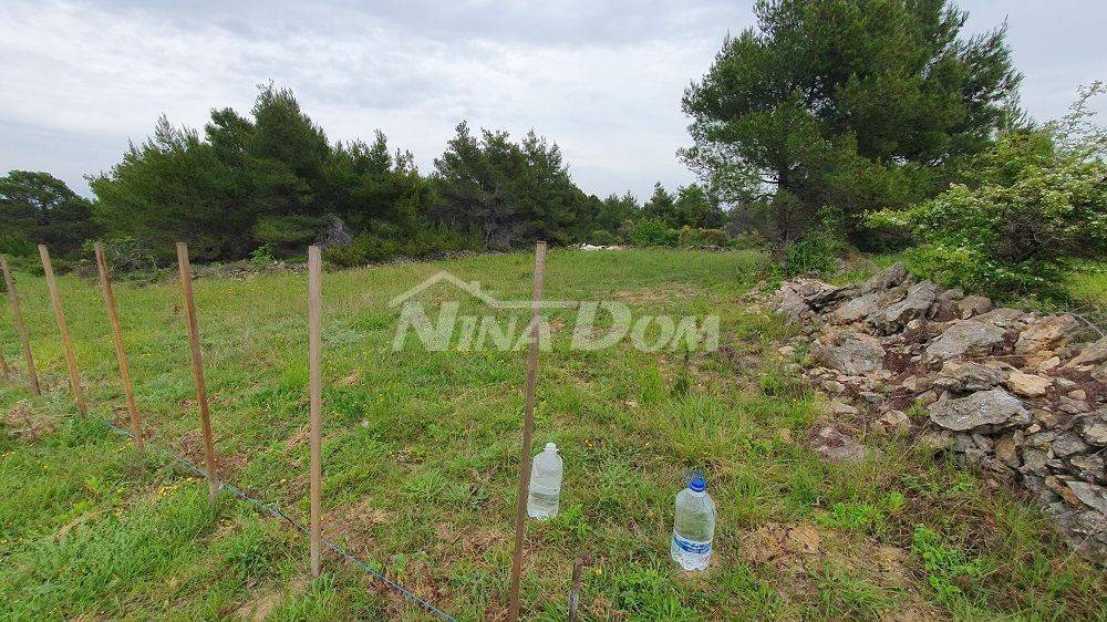 Poljoprivredno zemljište, Prodaja, Vir, Vir