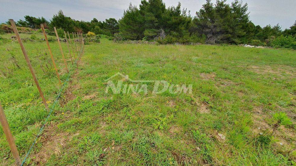 Poljoprivredno zemljište, Prodaja, Vir, Vir