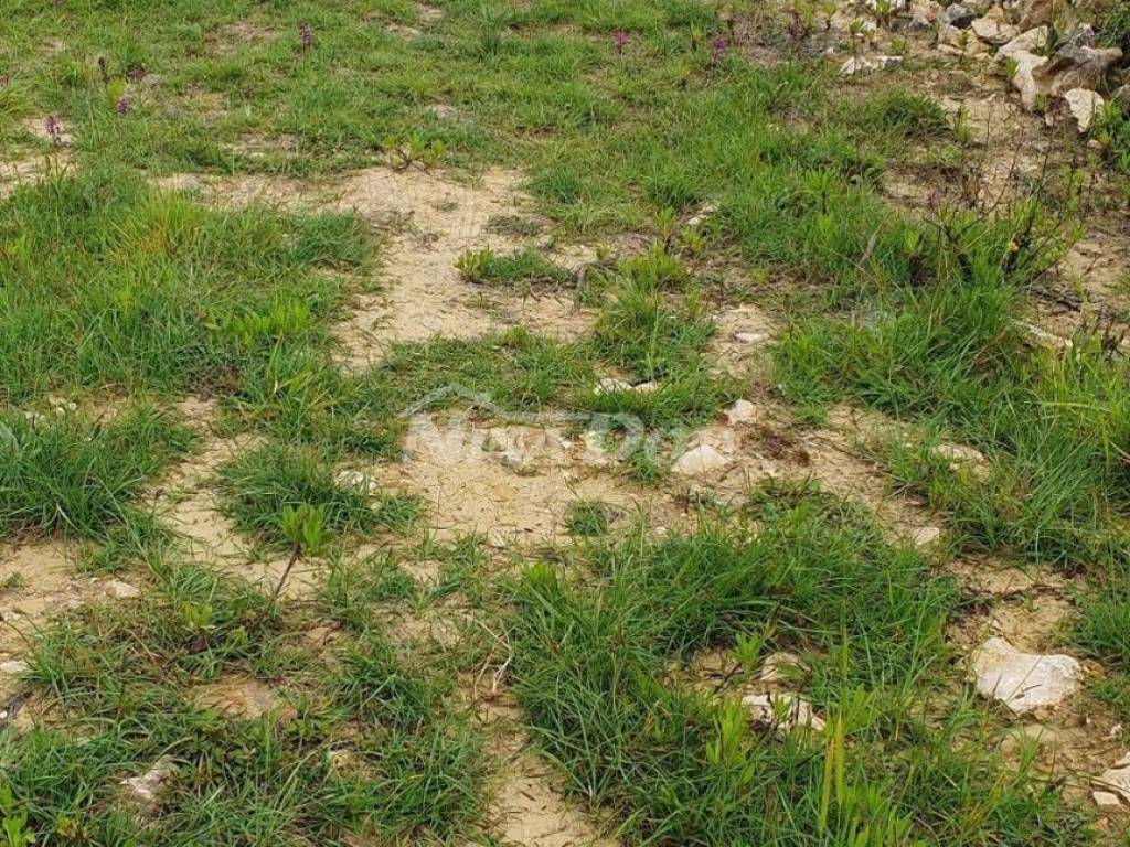 Poljoprivredno zemljište, Prodaja, Vir, Vir