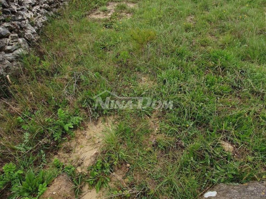 Poljoprivredno zemljište, Prodaja, Vir, Vir