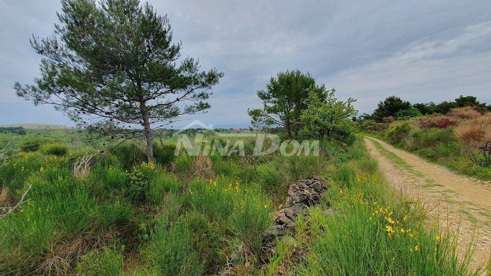 Poljoprivredno zemljište, Prodaja, Vir, Vir