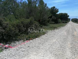 Poljoprivredno zemljište, Prodaja, Vir, Vir