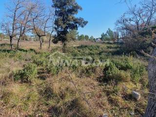 Građevinsko zemljište, Prodaja, Nin, Ninski Stanovi