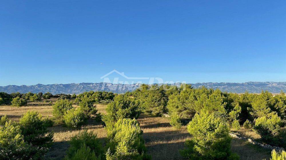 Apartman, Prodaja, Vir, Vir