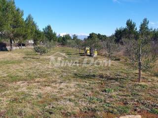 Poljoprivredno zemljište, Prodaja, Vir, Vir