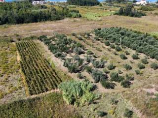 Poljoprivredno zemljište, Prodaja, Privlaka, Privlaka