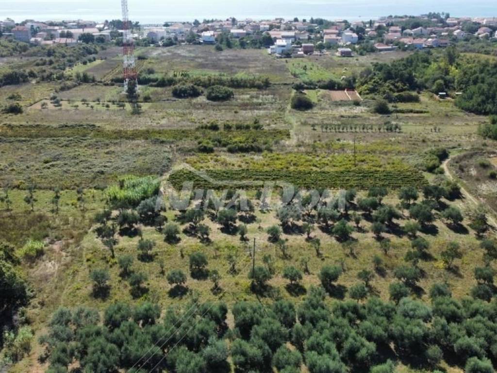 Poljoprivredno zemljište, Prodaja, Privlaka, Privlaka