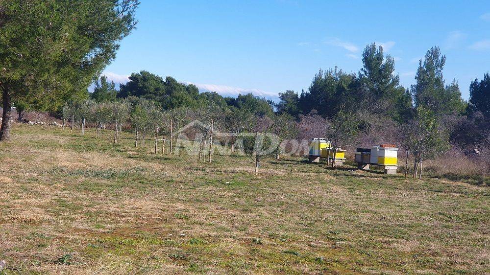 Poljoprivredno zemljište, Prodaja, Vir, Vir